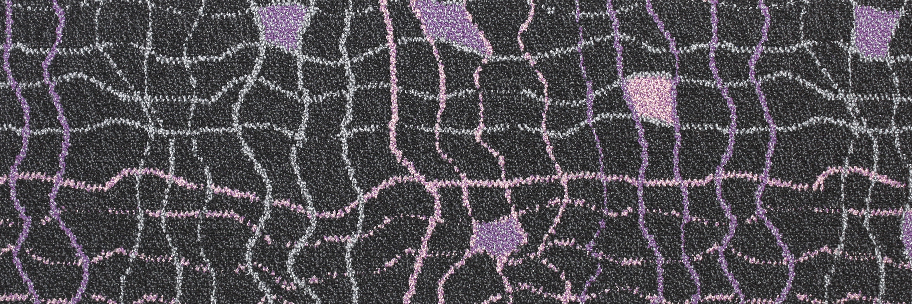Net 1