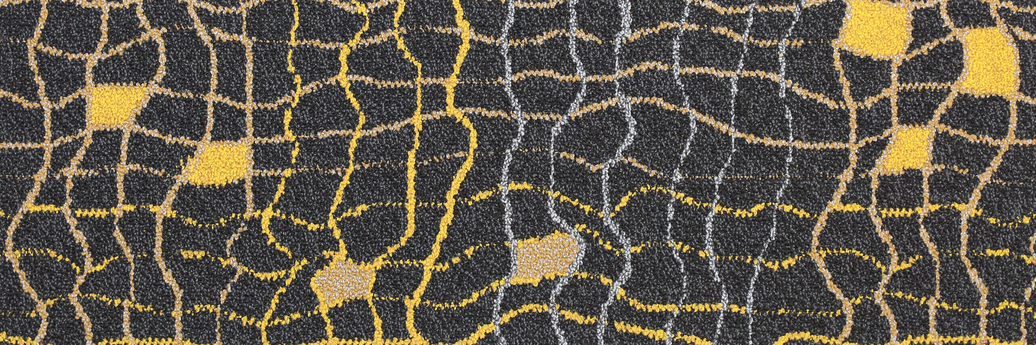 Net 2