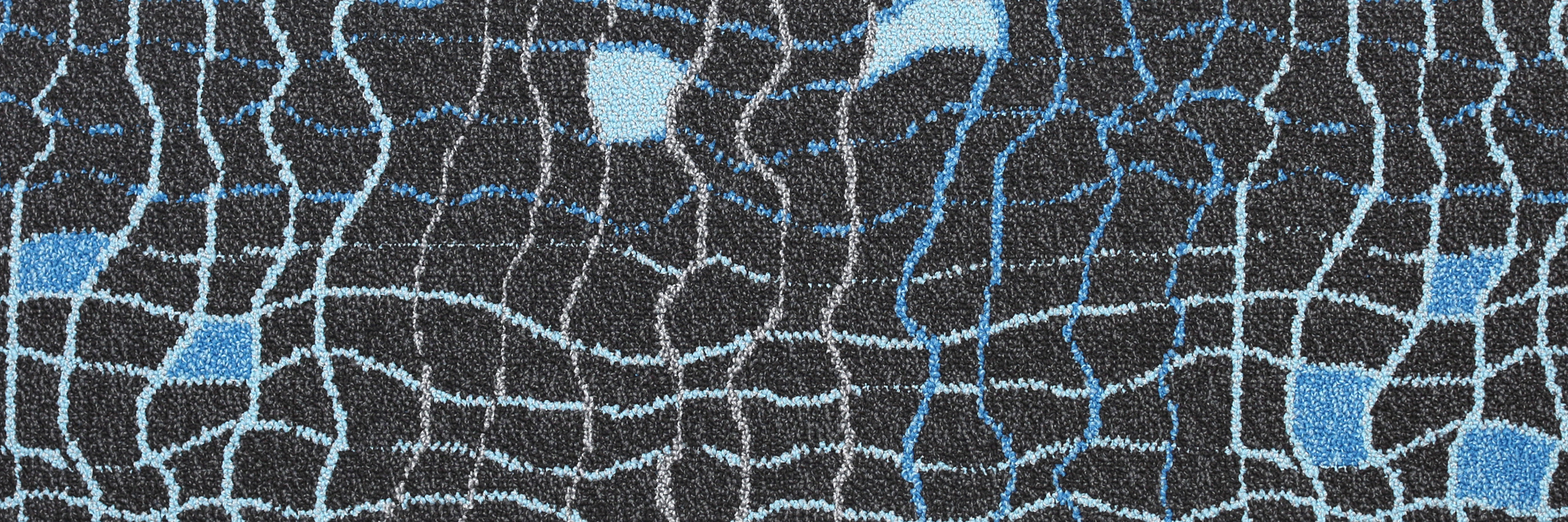 Net 3
