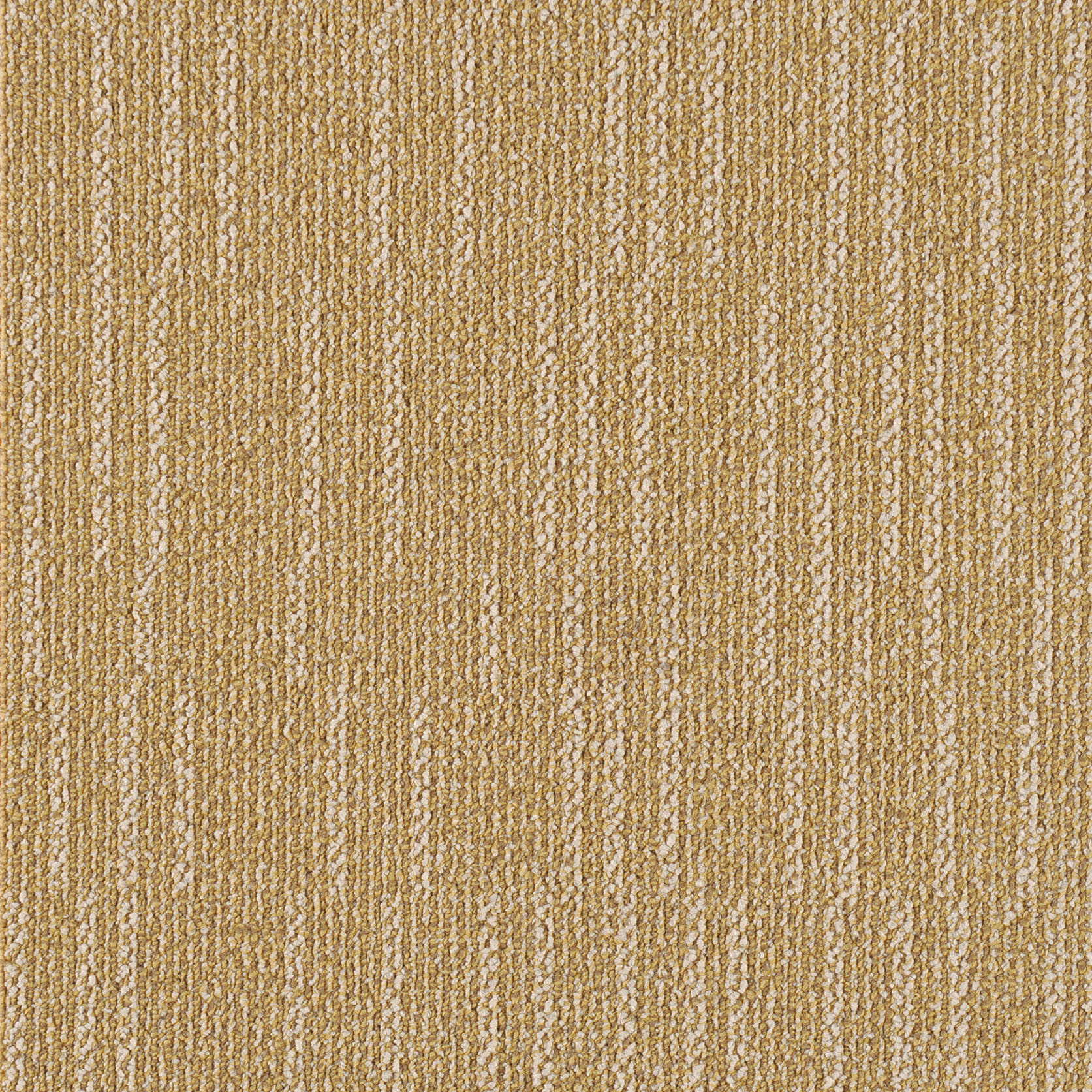 Barley Aroma 10 101