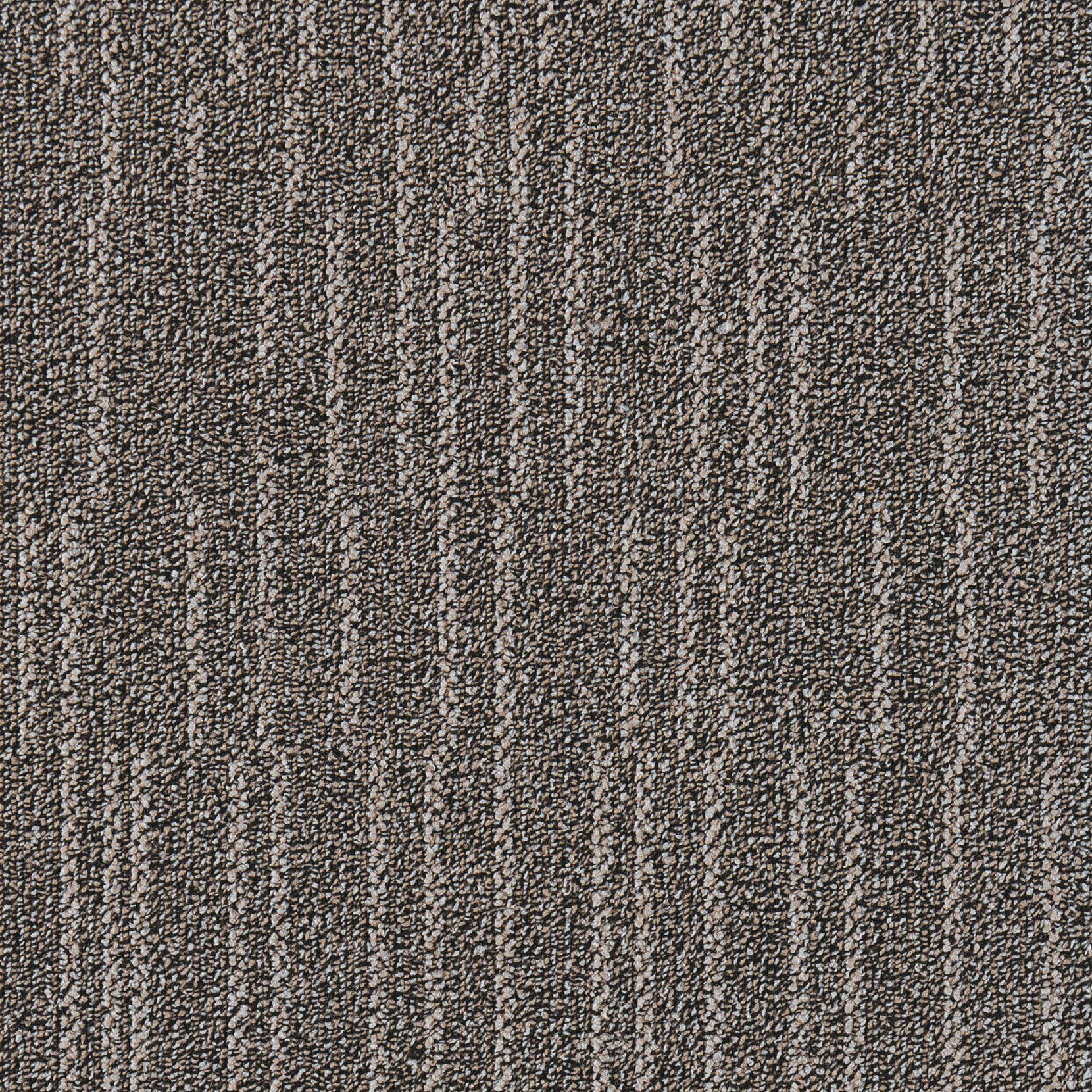Barley Aroma 10 105