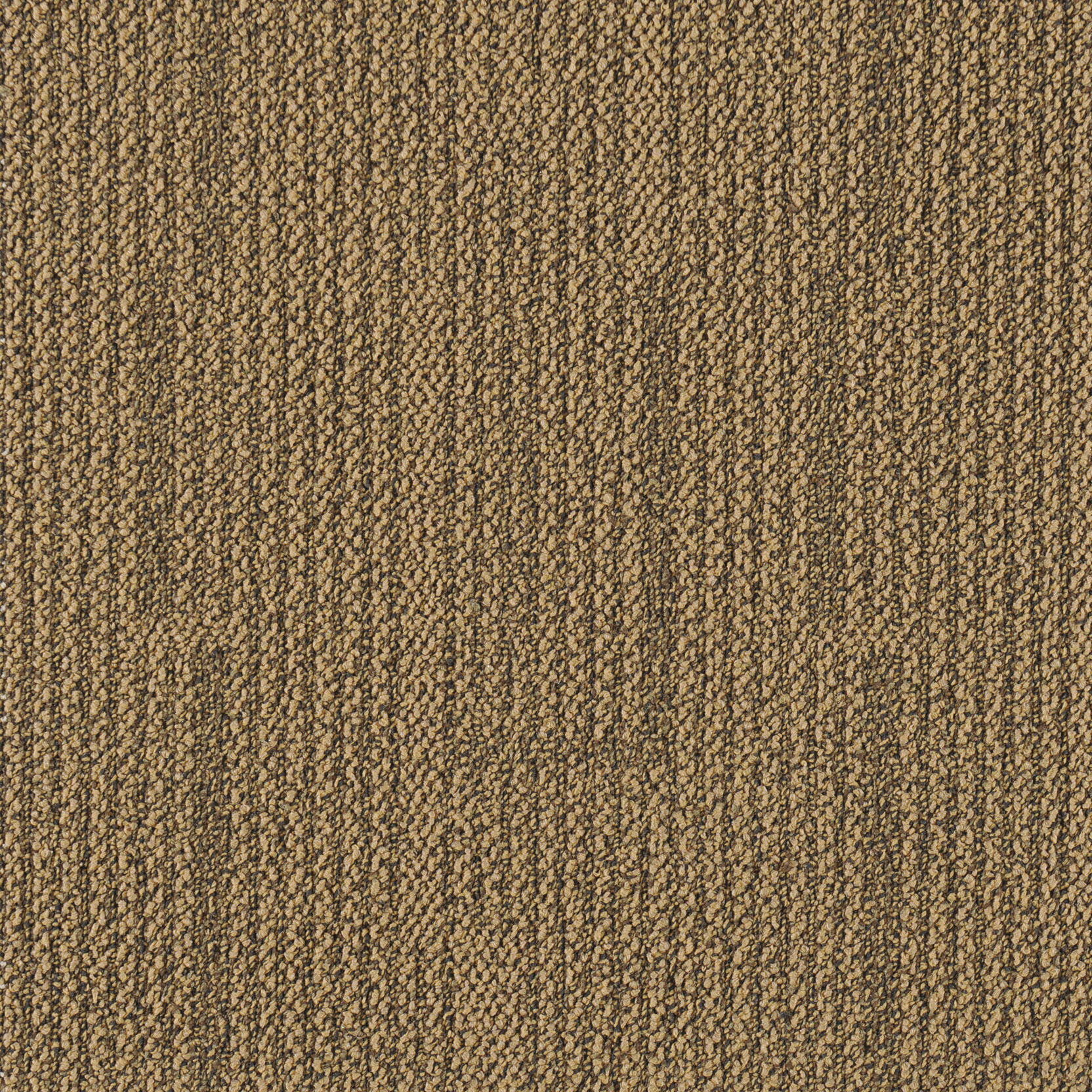 Barley Aroma 20 202
