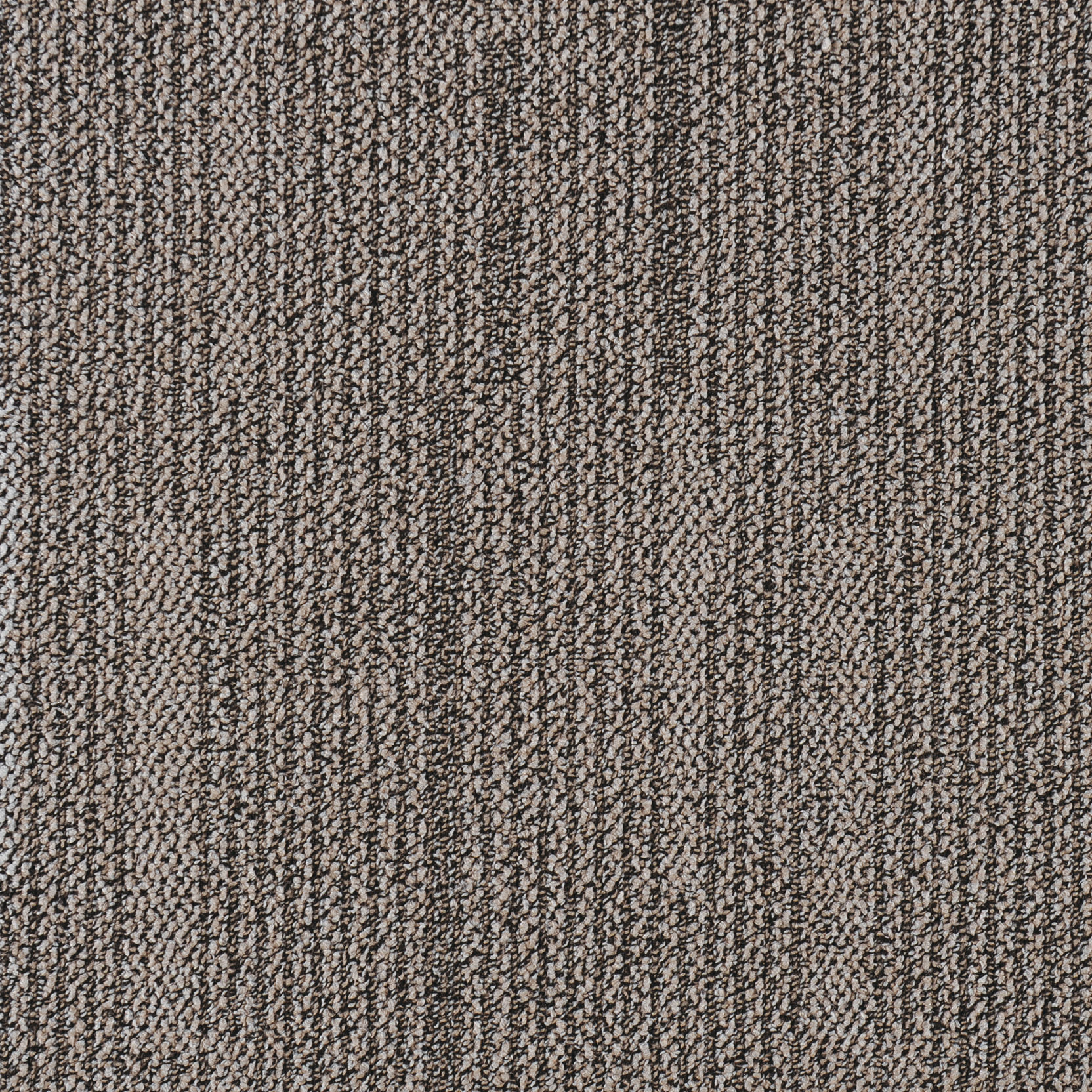 Barley Aroma 20 205