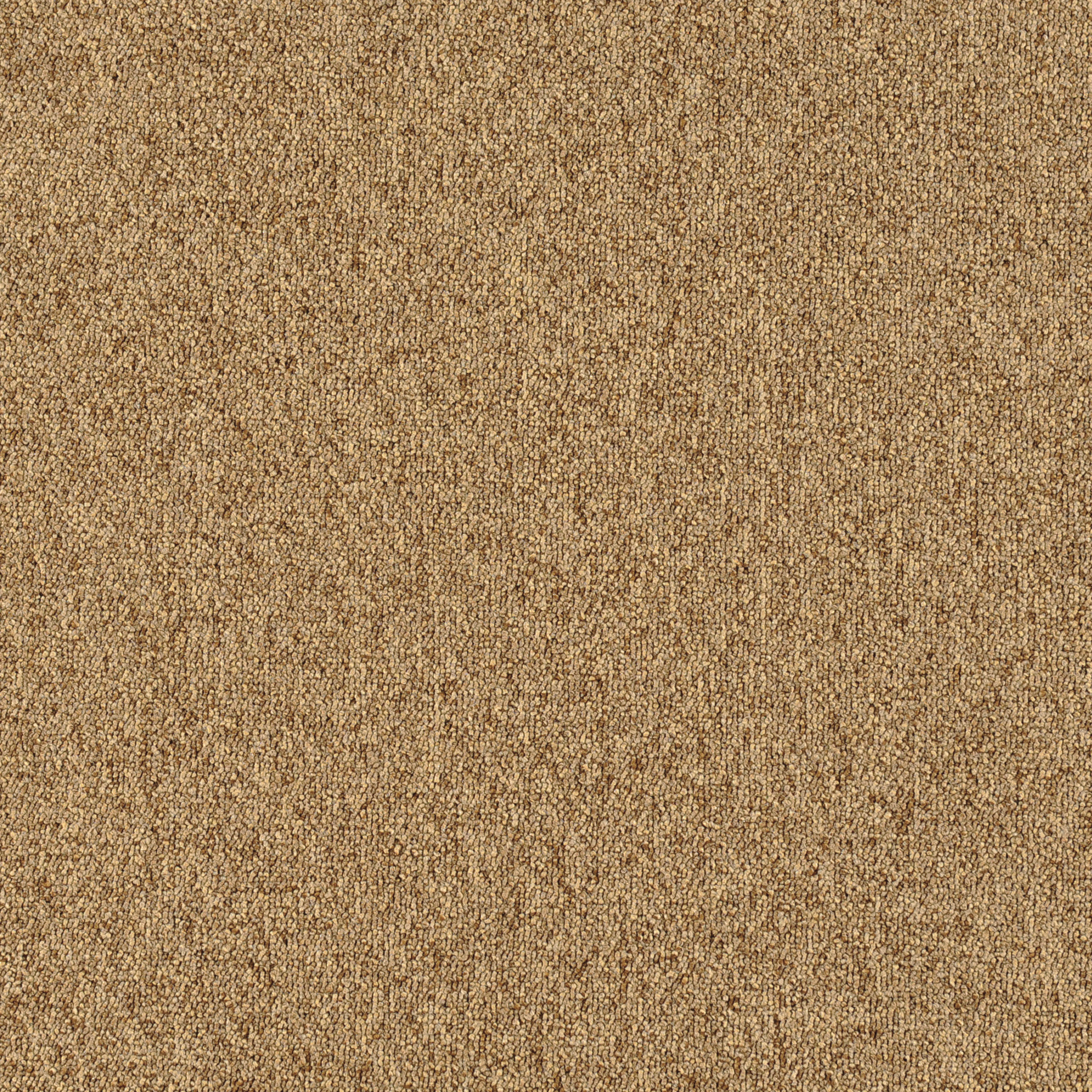 JNP01-06