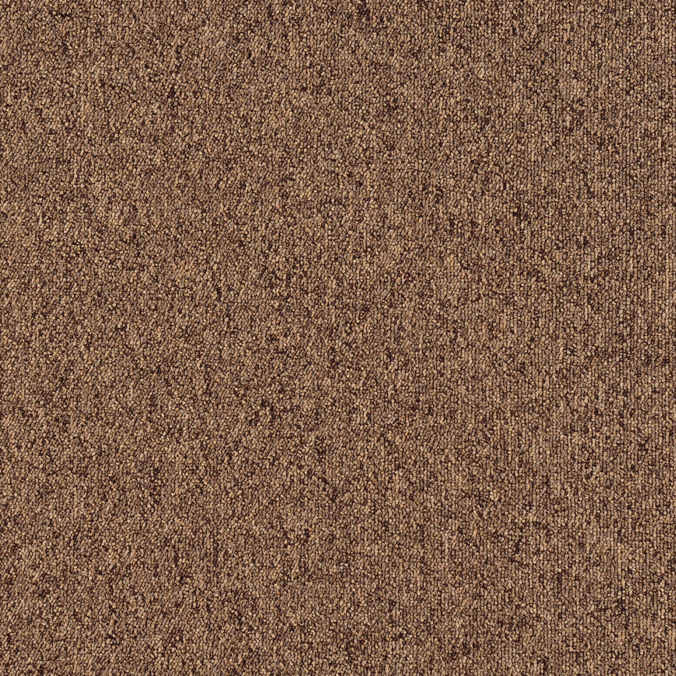 JNP01-07