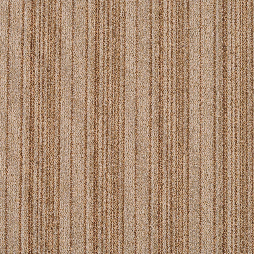 JNP03-10