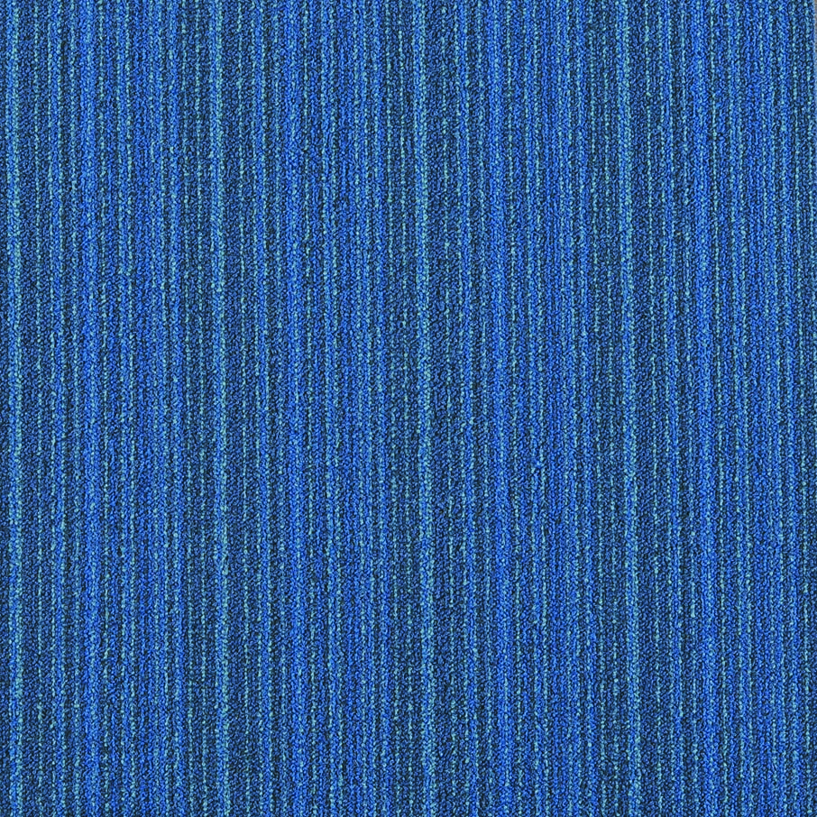 JNP03-6