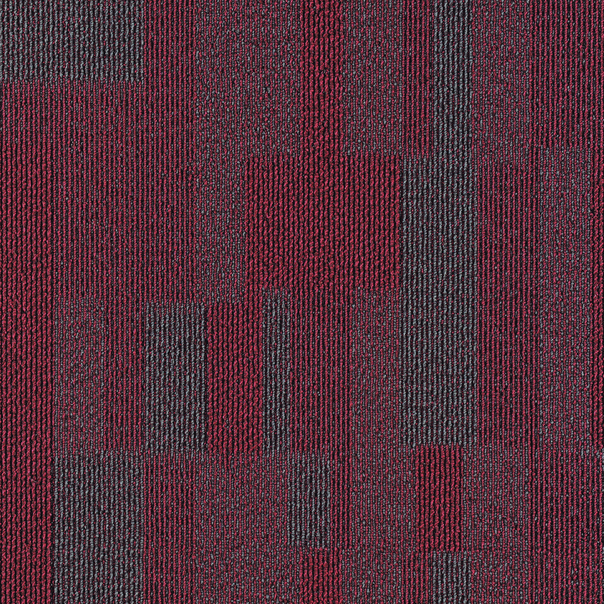JNP06-01