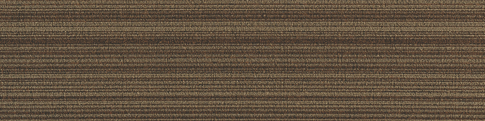 JNP08-6
