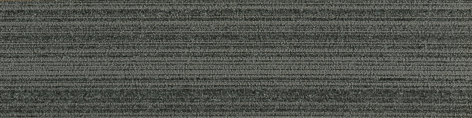 JNP08-7