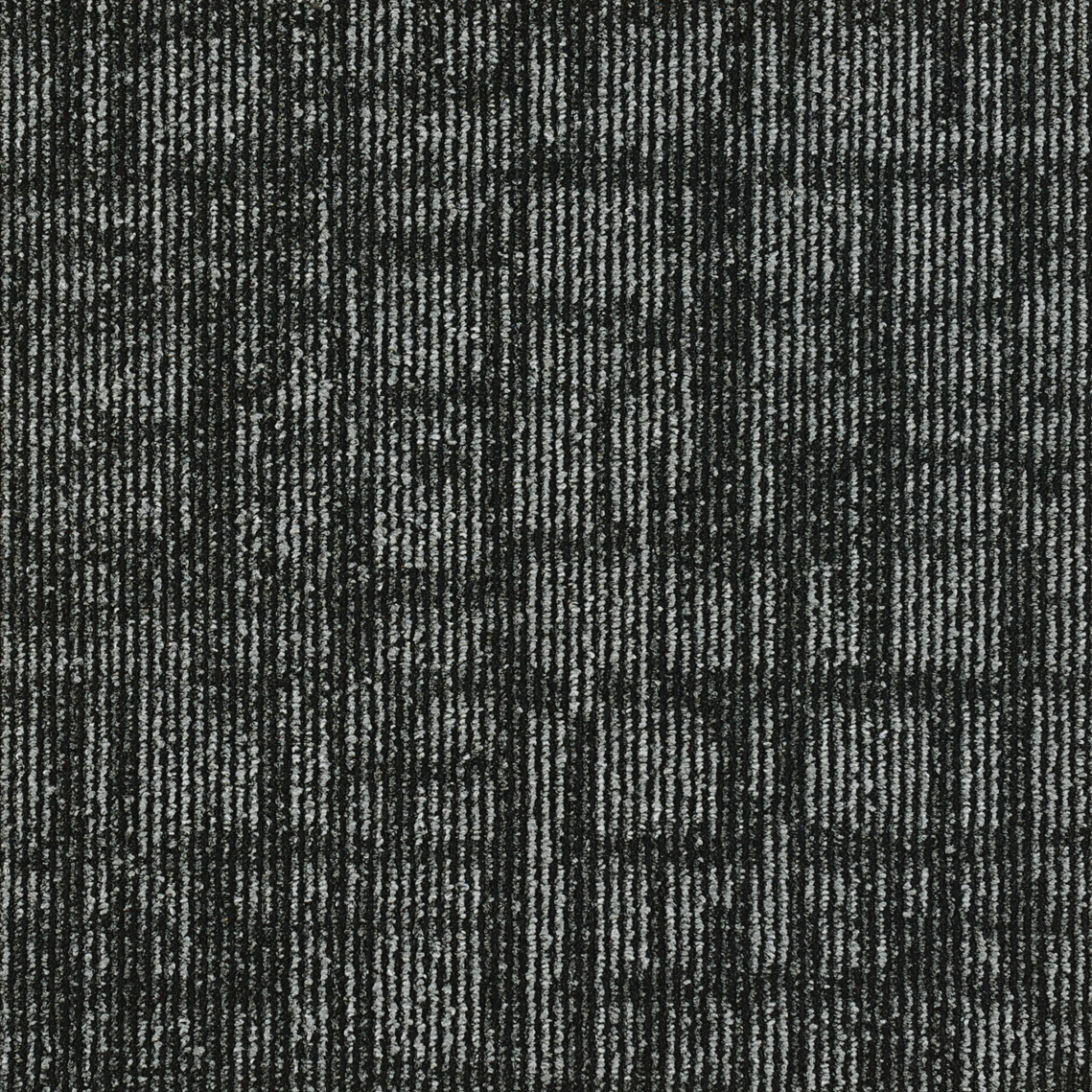 JNP09-1