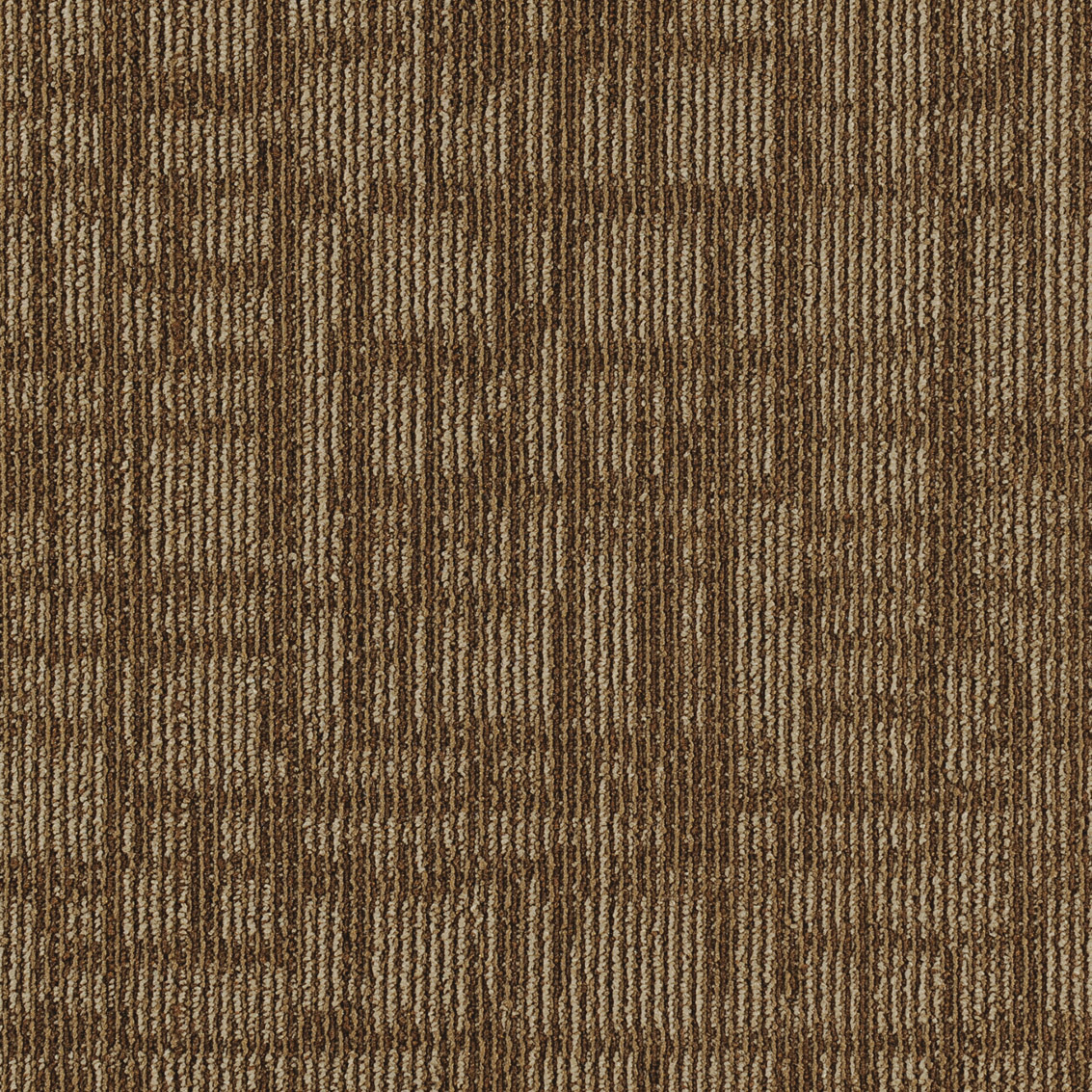 JNP09-6