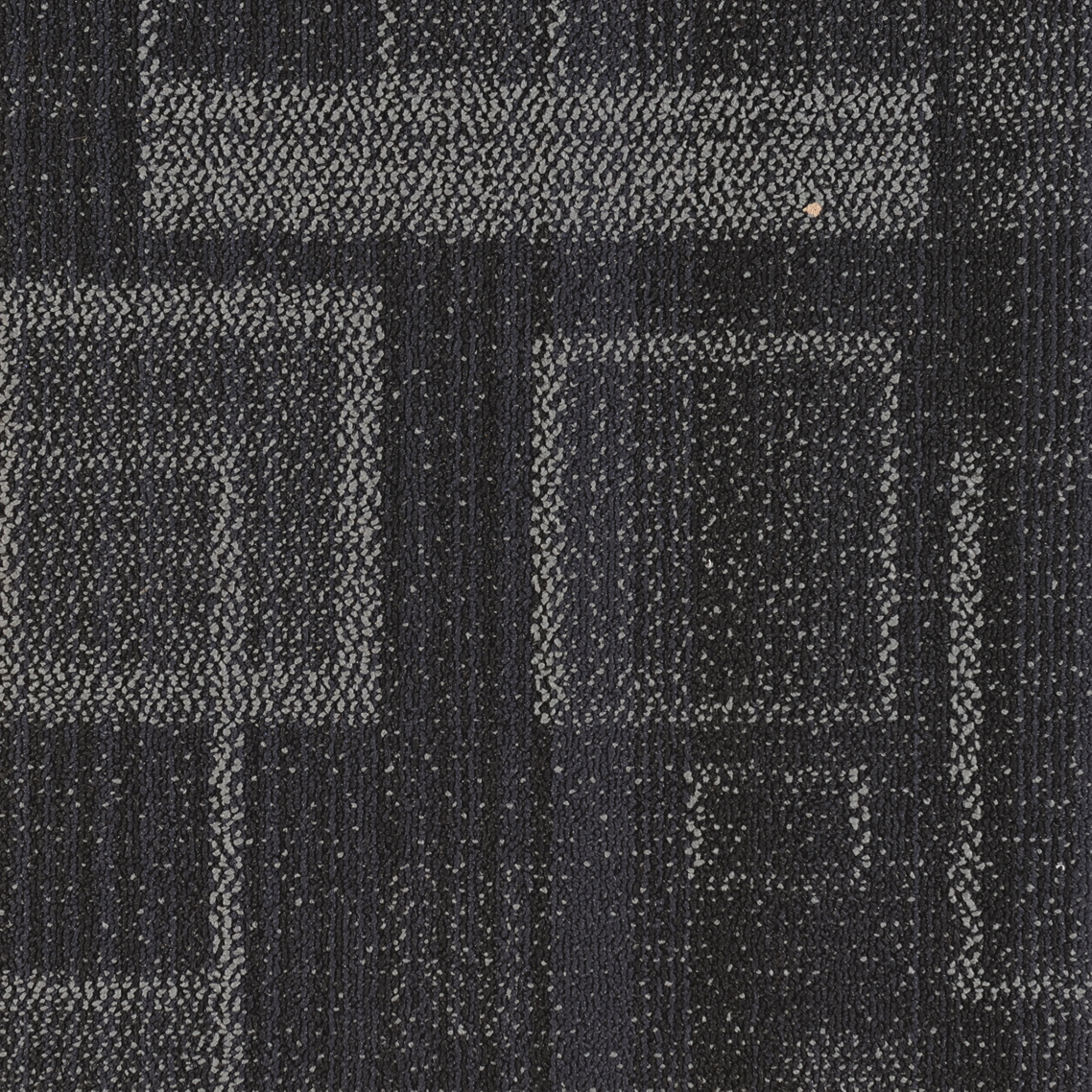 JNP11-6