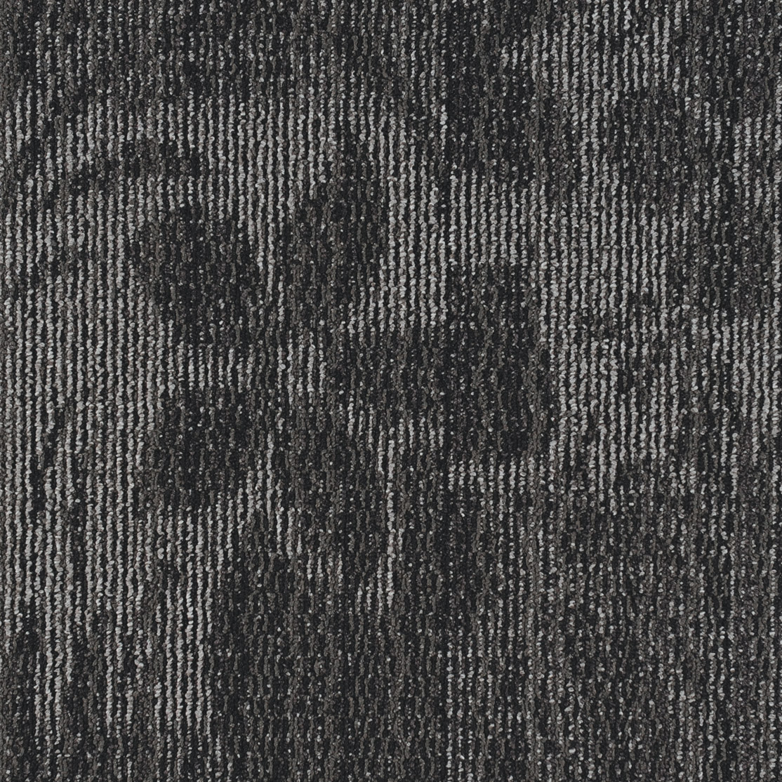 JNP12-101