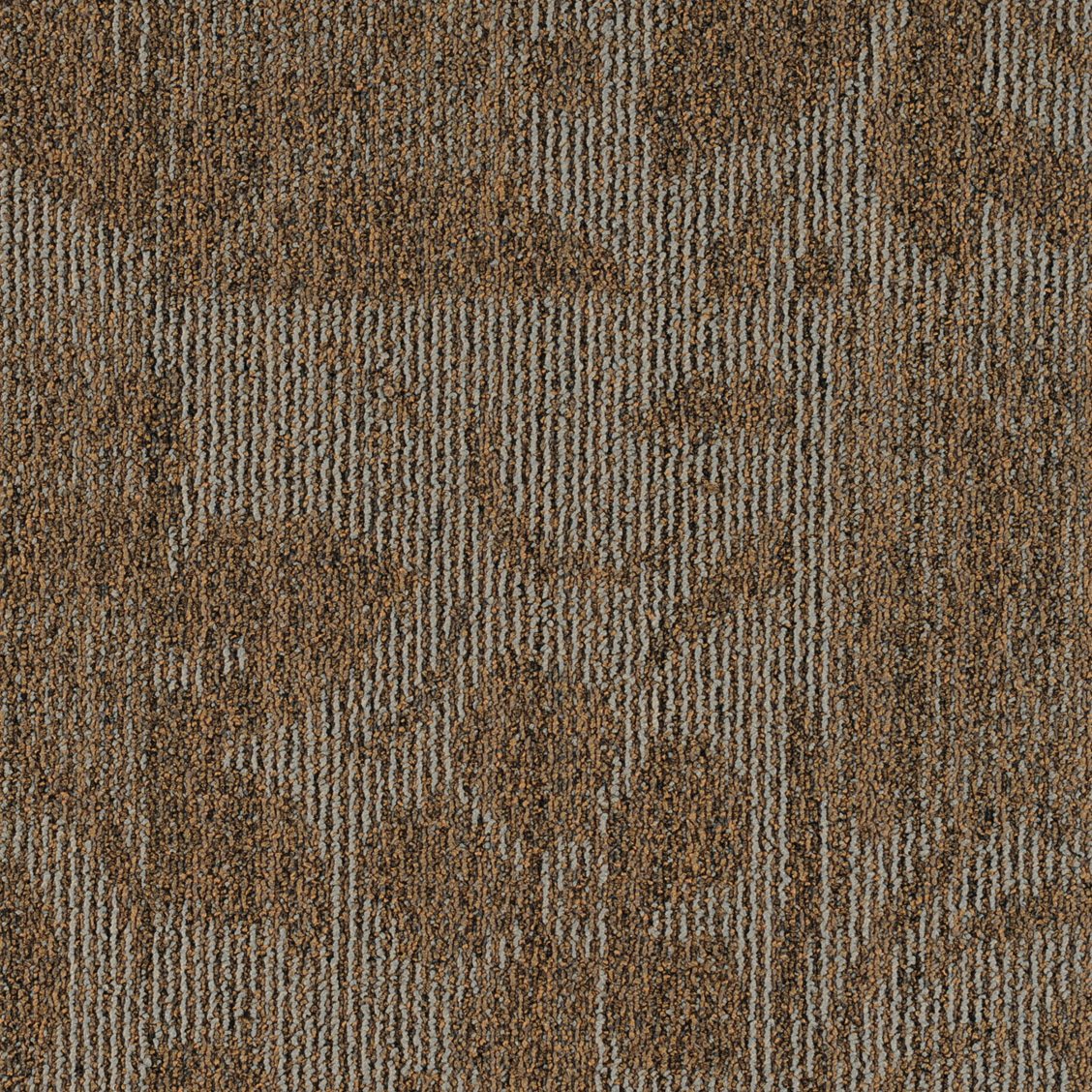 JNP12-106