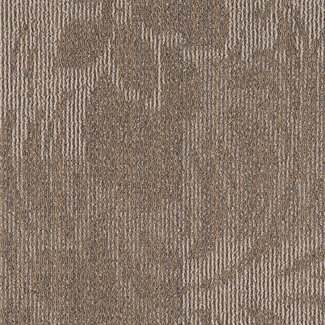 JNP12-107
