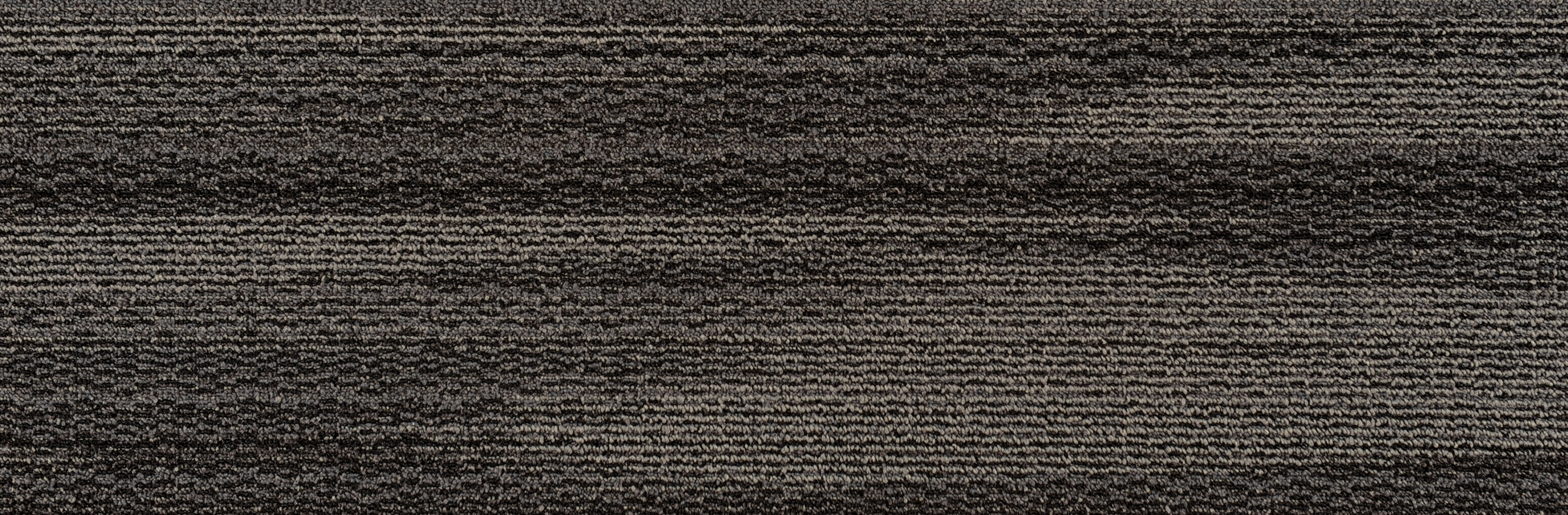 JNP16-2