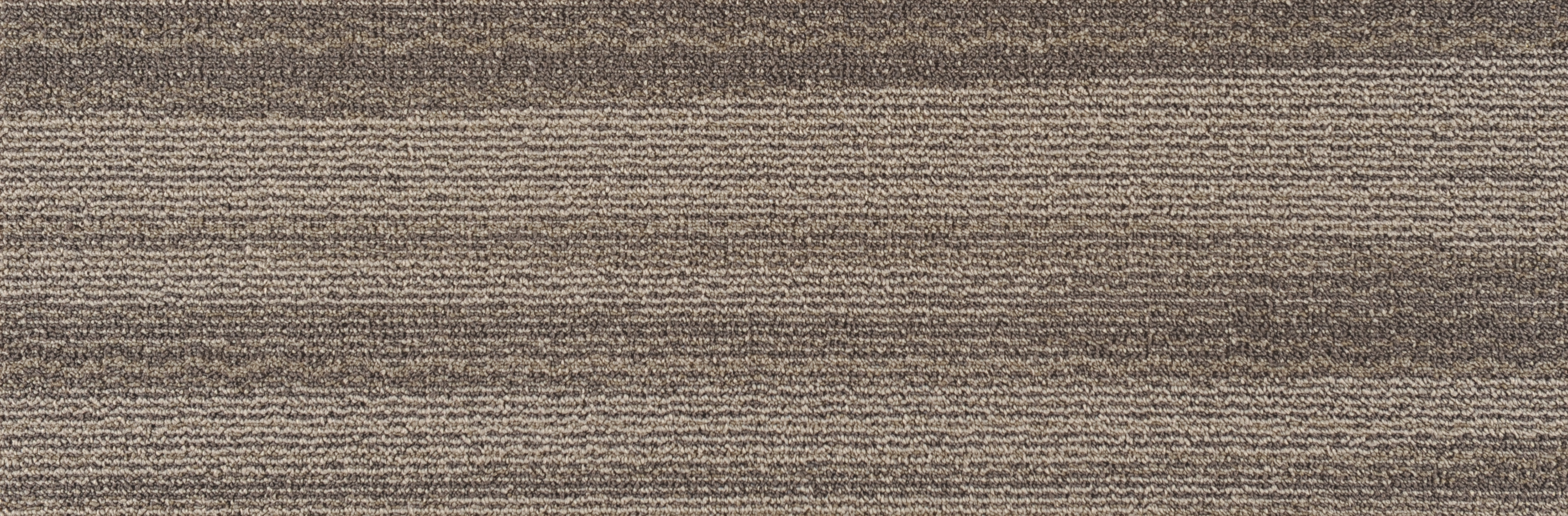 JNP16-5