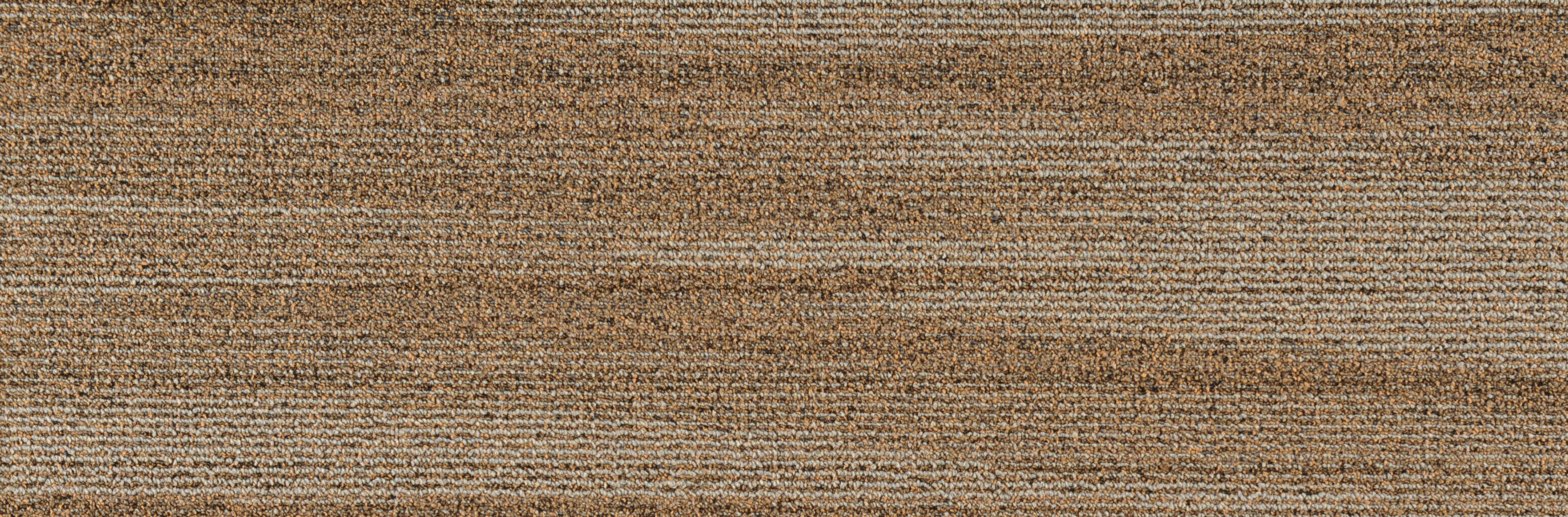 JNP16-6