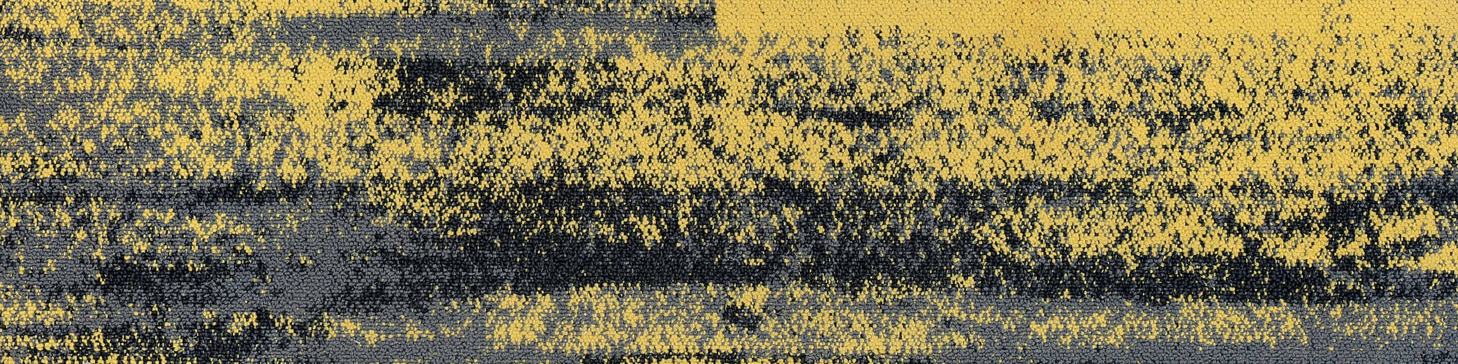 York 8B