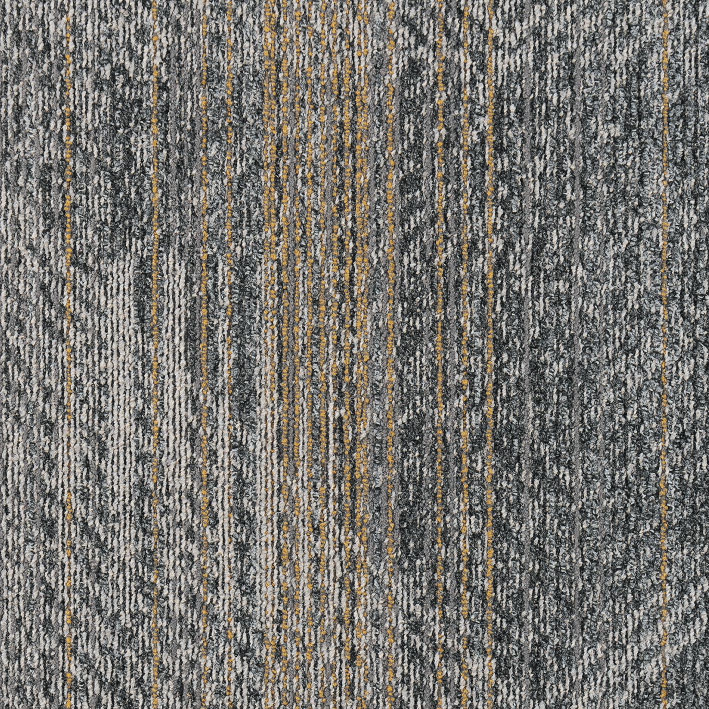 Spectrum 10