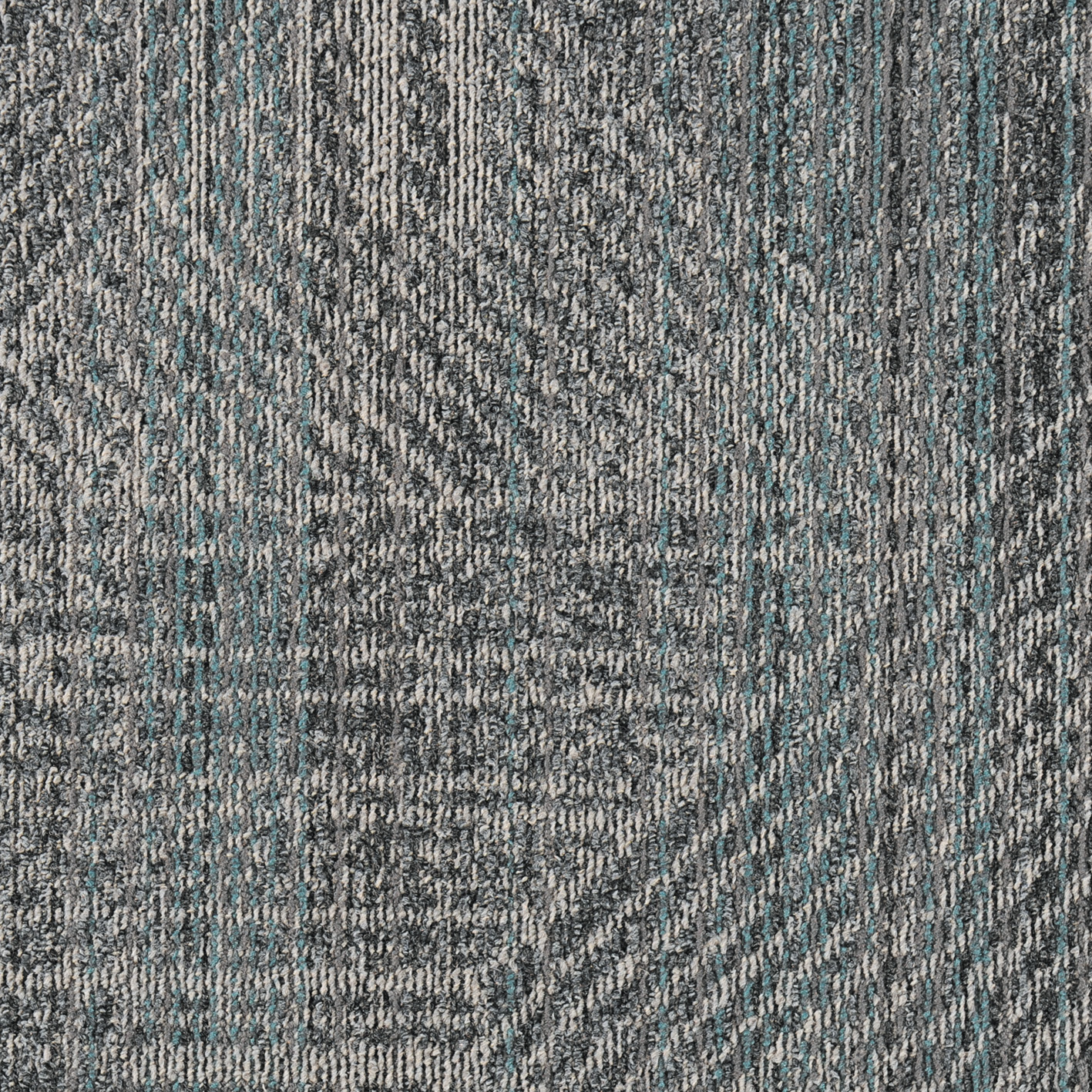 Spectrum 8