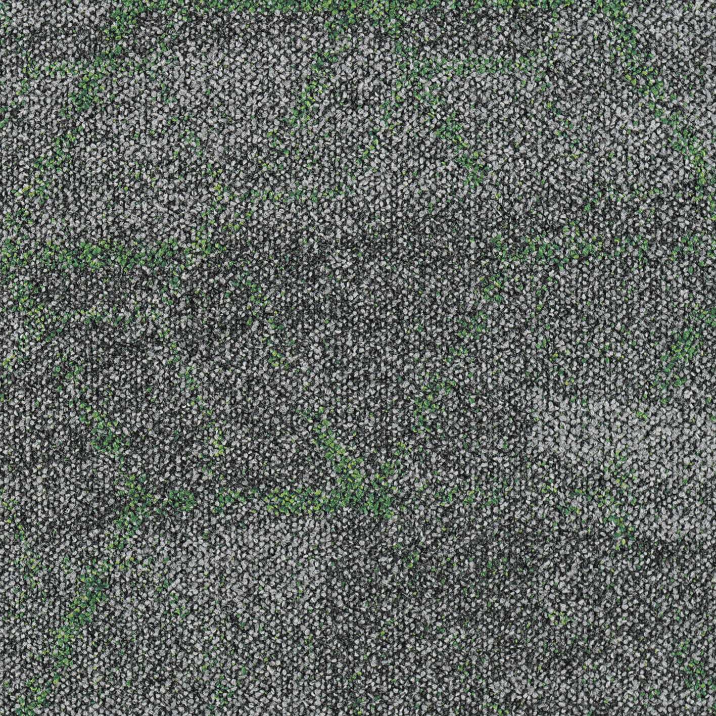 Hive 106