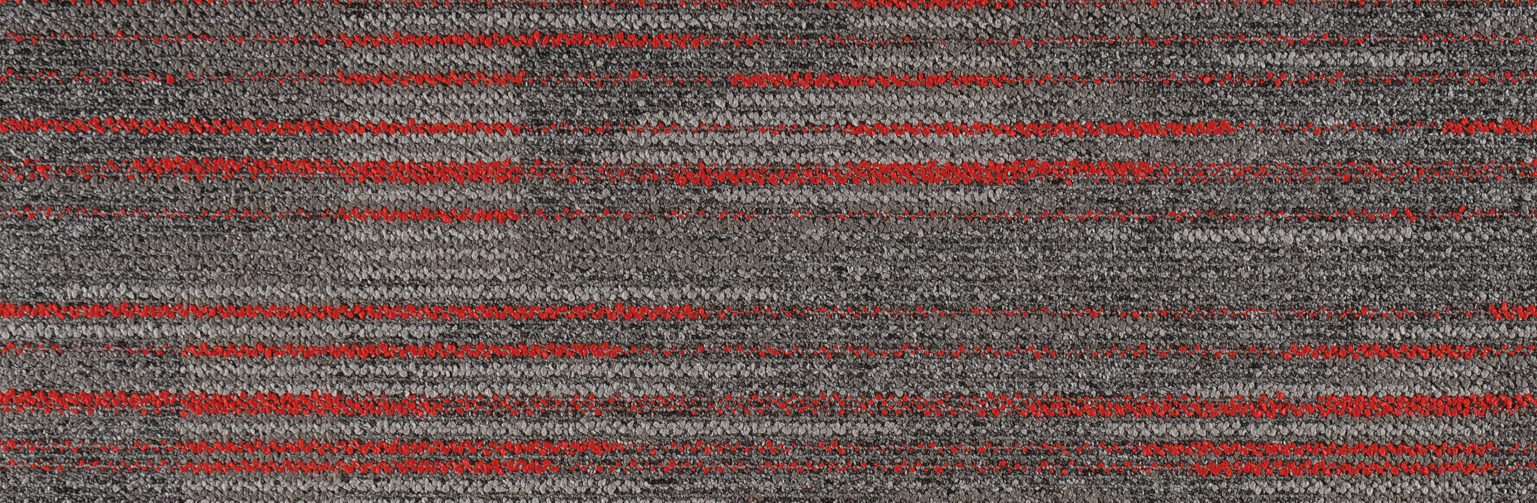 Star Trail 203