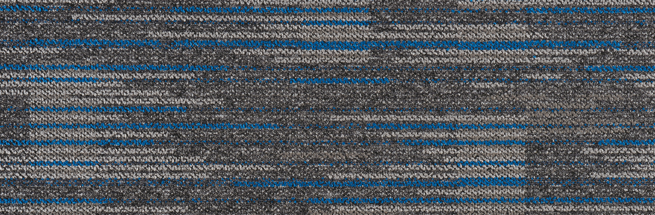 Star Trail 205