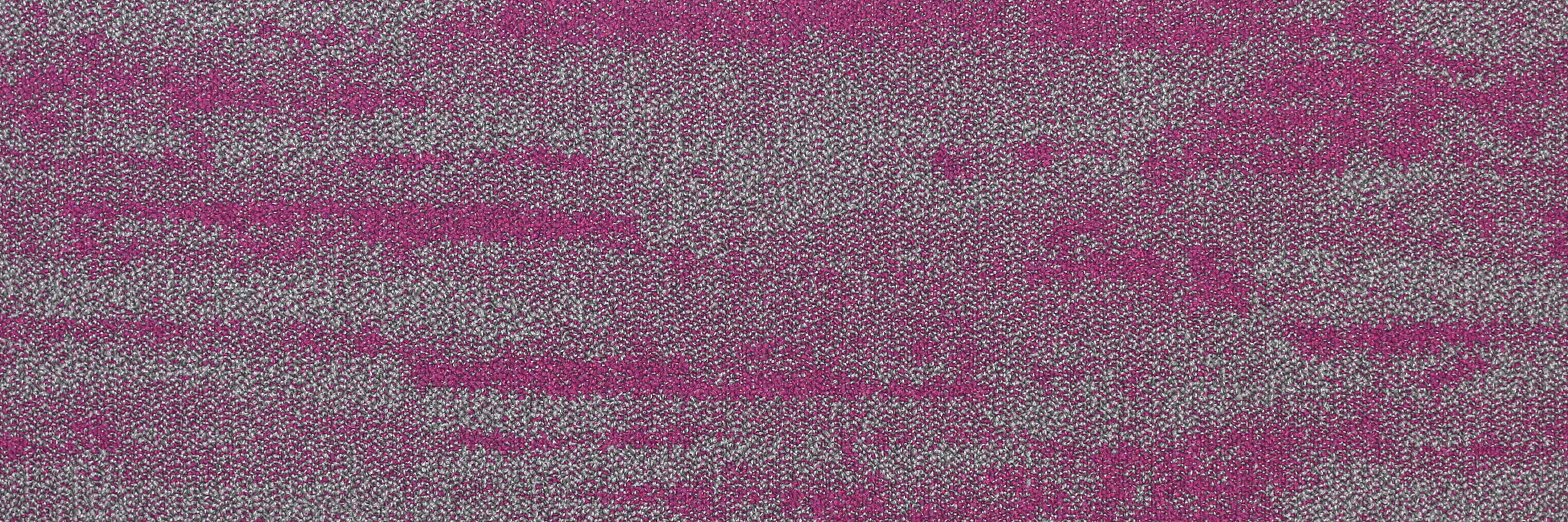 QF500 509